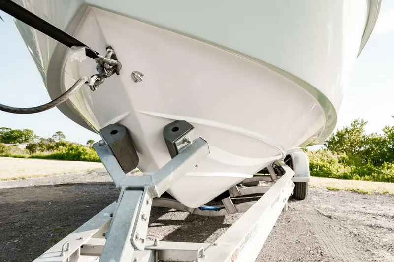 Slide: The Image of Everglades 253CC 2022 - 4554420