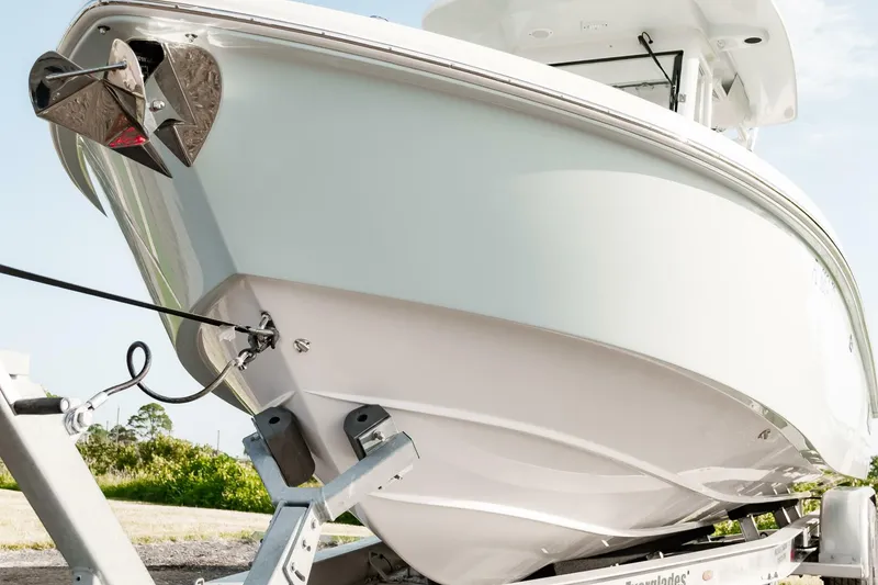 Slide: The Image of Everglades 253CC 2022 - 4554421