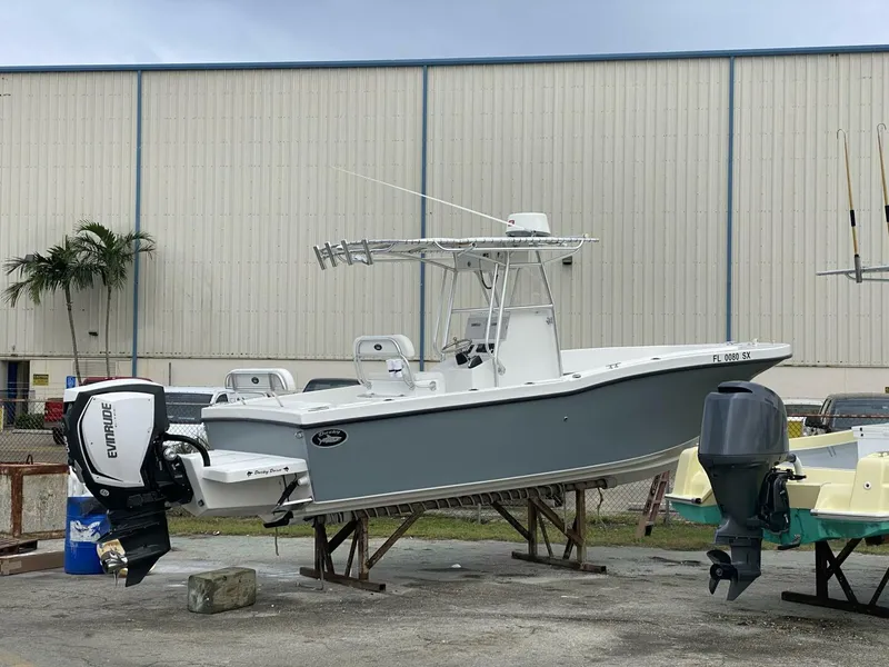 Slide: The Image of Dusky 2021 2021 - 4538297