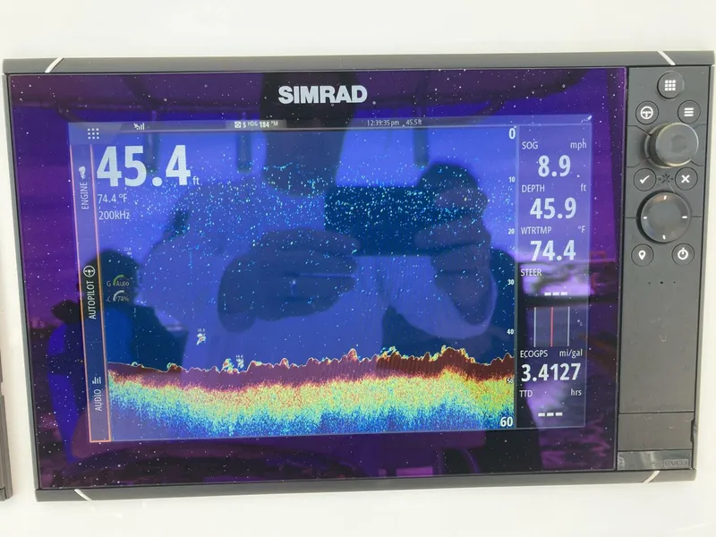 Slide: The Image of Dusky 2021 2021 - 4538304