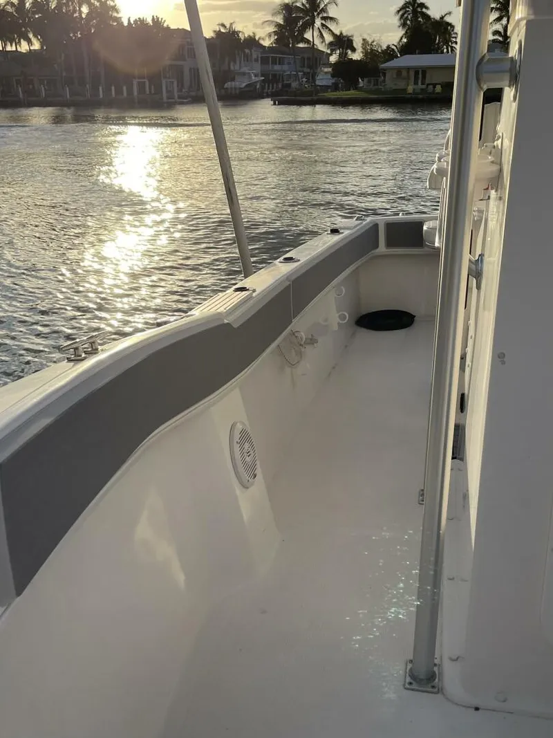 Slide: The Image of Dusky 2021 2021 - 4538312