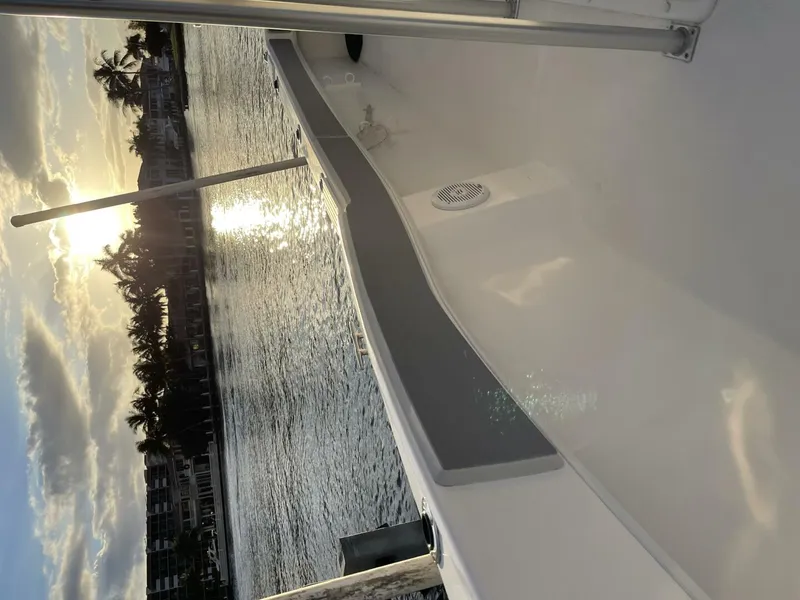 Slide: The Image of Dusky 2021 2021 - 4538313