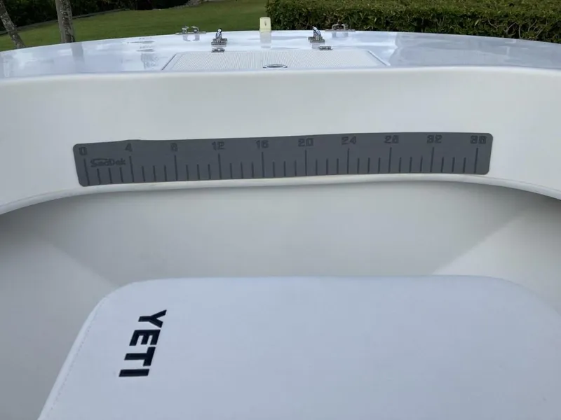 Slide: The Image of Dusky 2021 2021 - 4538324