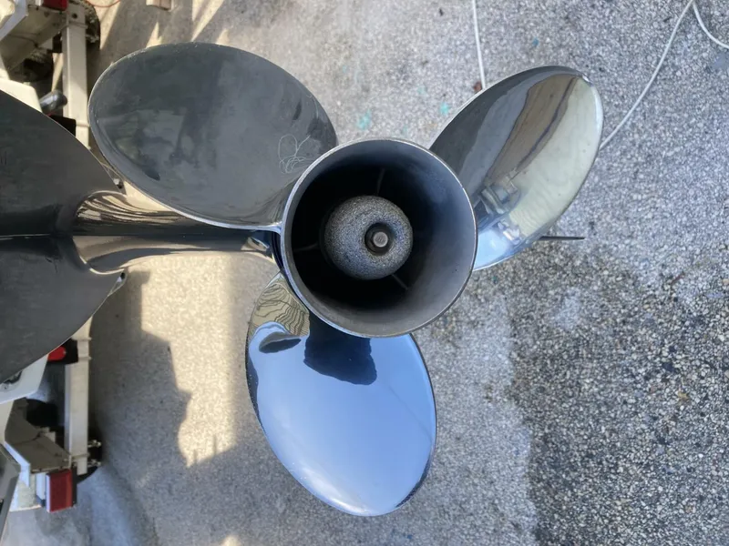 Slide: The Image of Dusky 2021 2021 - 4538326