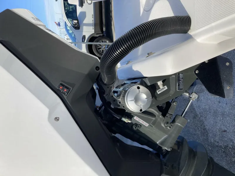 Slide: The Image of Dusky 2021 2021 - 4538327