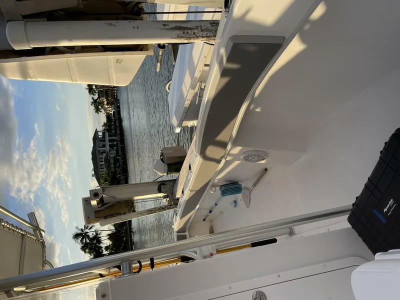 Slide: The Image of Dusky 2021 2021 - 4538329