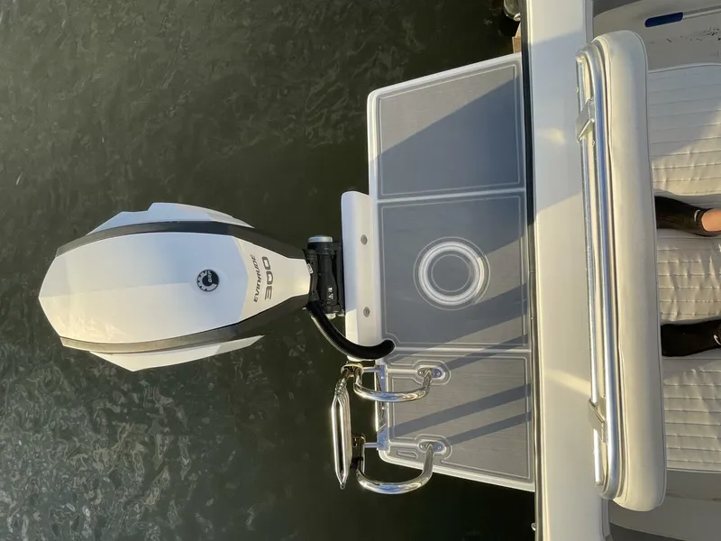 Slide: The Image of Dusky 2021 2021 - 4538332