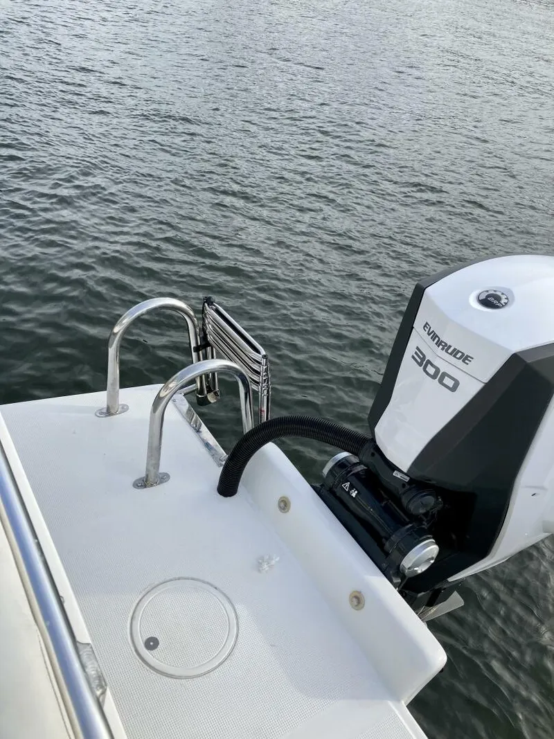 Slide: The Image of Dusky 2021 2021 - 4538335