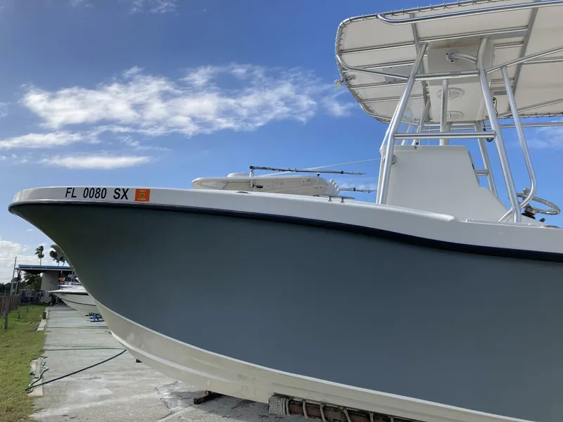 Slide: The Image of Dusky 2021 2021 - 4538292