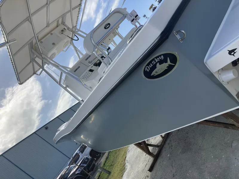 Slide: The Image of Dusky 2021 2021 - 4538293