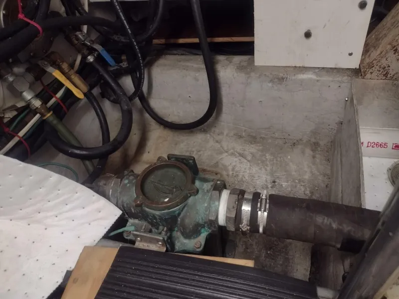 Slide: The Image of Paddy Wagon  bilge - 4564846