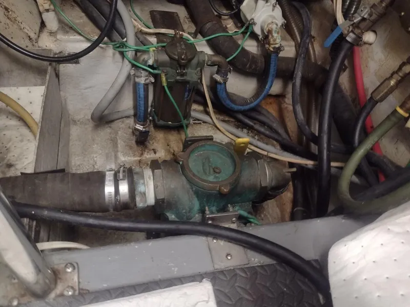 Slide: The Image of Paddy Wagon  bilge - 4564847