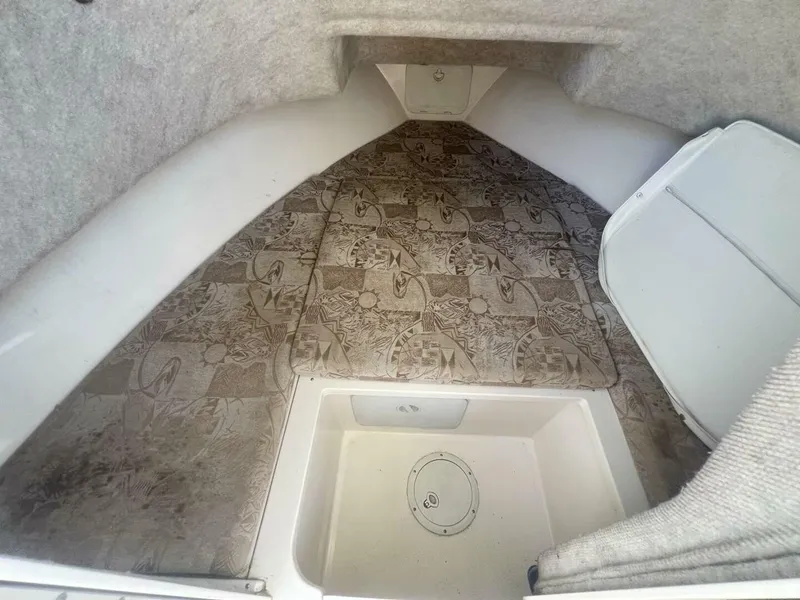 Slide: The Image of Shamrock 220 Predator 2005 - 4547821