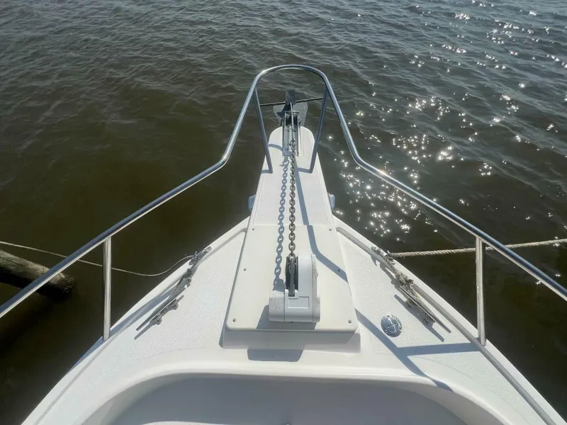 Slide: The Image of Shamrock 220 Predator 2005 - 4547822