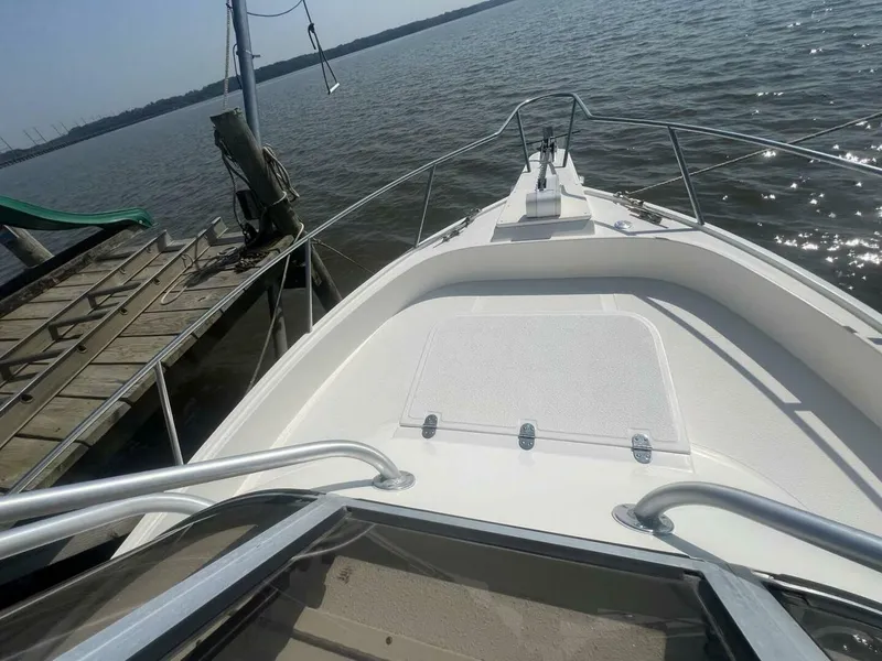 Slide: The Image of Shamrock 220 Predator 2005 - 4547823