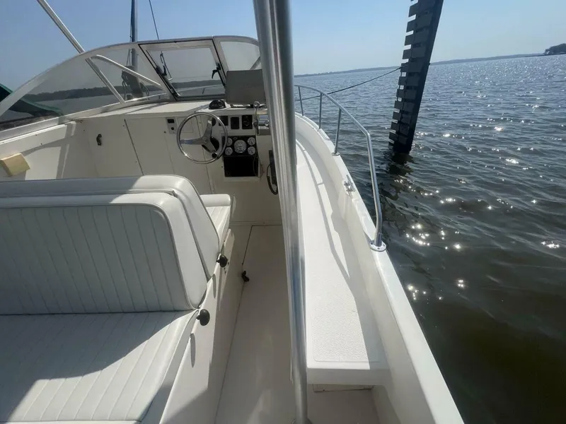 Slide: The Image of Shamrock 220 Predator 2005 - 4547824