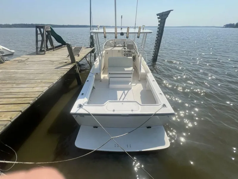 Slide: The Image of Shamrock 220 Predator 2005 - 4547828