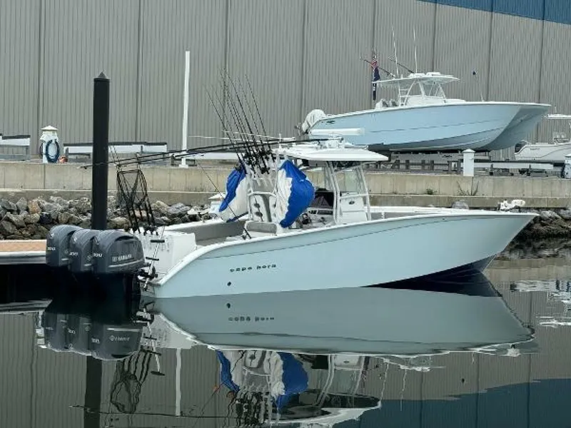 The Image of Cape Horn 36 XS 2017 - 4548375