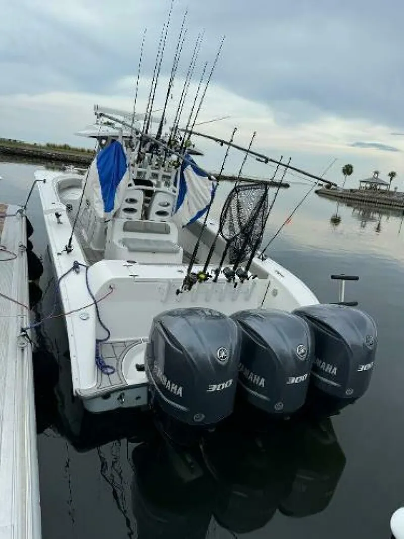 Slide: The Image of Cape Horn 36 XS 2017 - 4548387