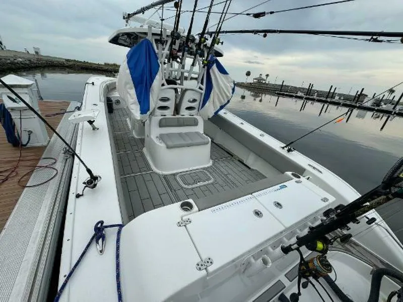 Slide: The Image of Cape Horn 36 XS 2017 - 4548379