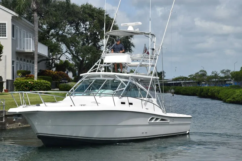 Slide: The Image of Profile 3  - 4549356