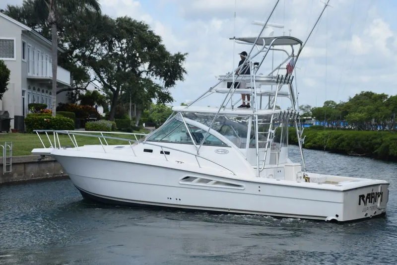 Slide: The Image of Profile 6   - 4549422