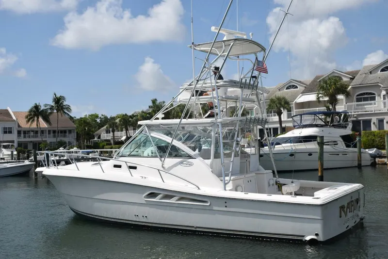 Slide: The Image of Profile 8    - 4549427