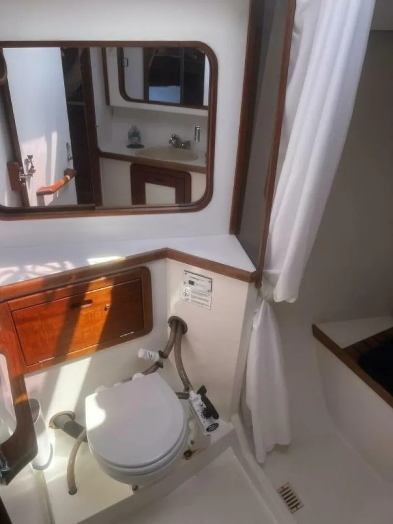 Slide: The Image of Master Head - 4552995