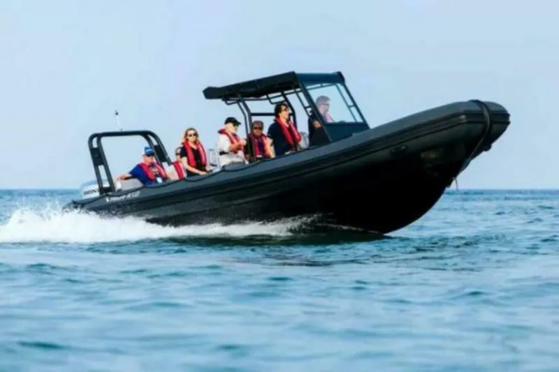 The Image of Highfield Patrol 860 2024 - 4560636