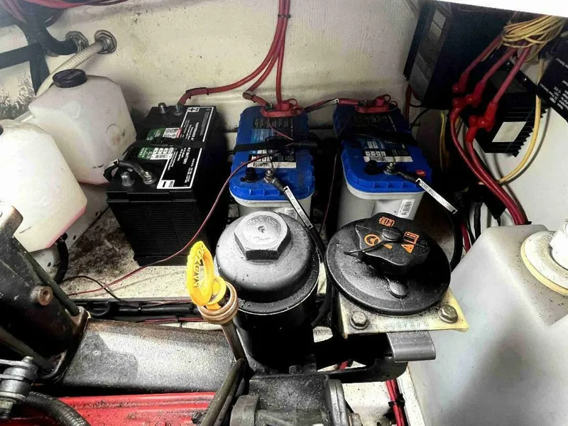 Slide: The Image of Four Winns V338 2008 - 4569491