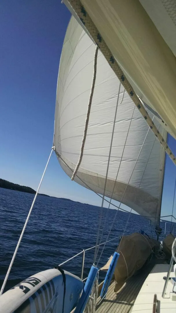 Slide: The Image of Brewer Kaiulani 1988 - 4587032