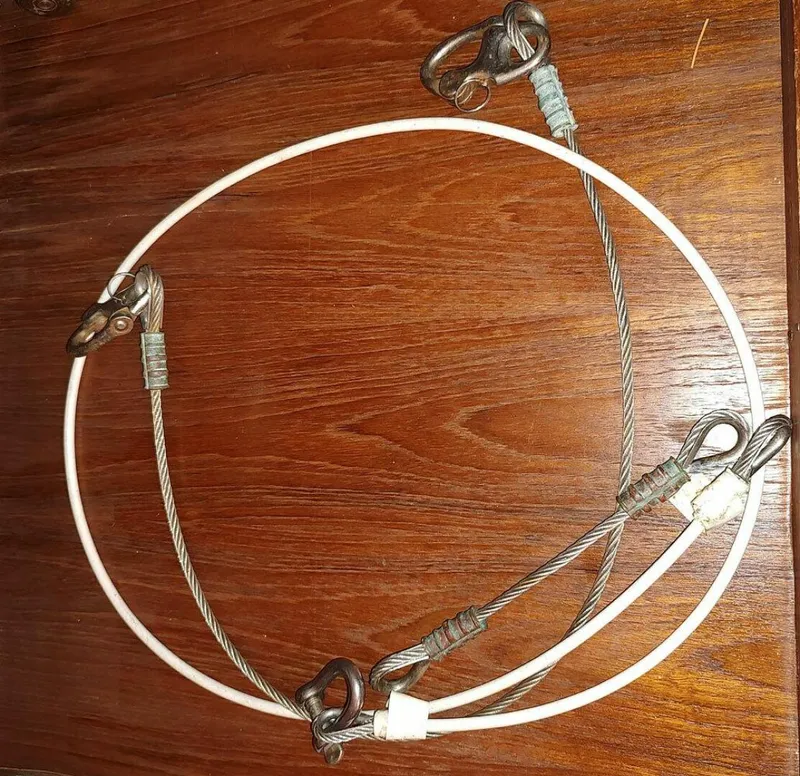 Slide: The Image of Brewer Kaiulani 1988 - 4587040