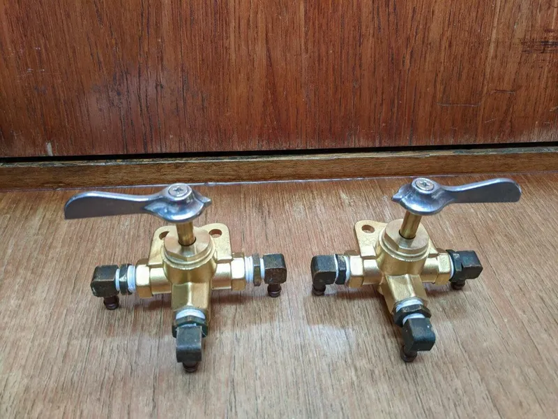 Slide: The Image of Brewer Kaiulani 1988 - 4587016