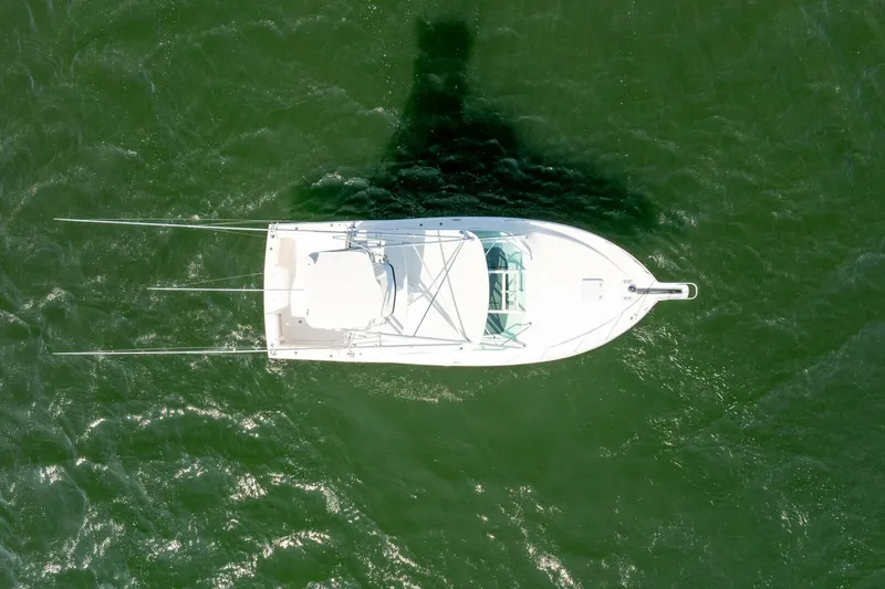 Slide: The Image of Cabo 35 2004 - 4597058