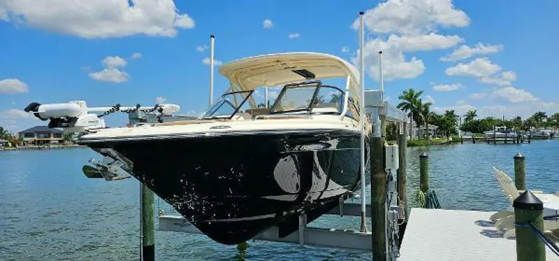 Slide: The Image of Scout 255 Dorado 2023 - 4594501