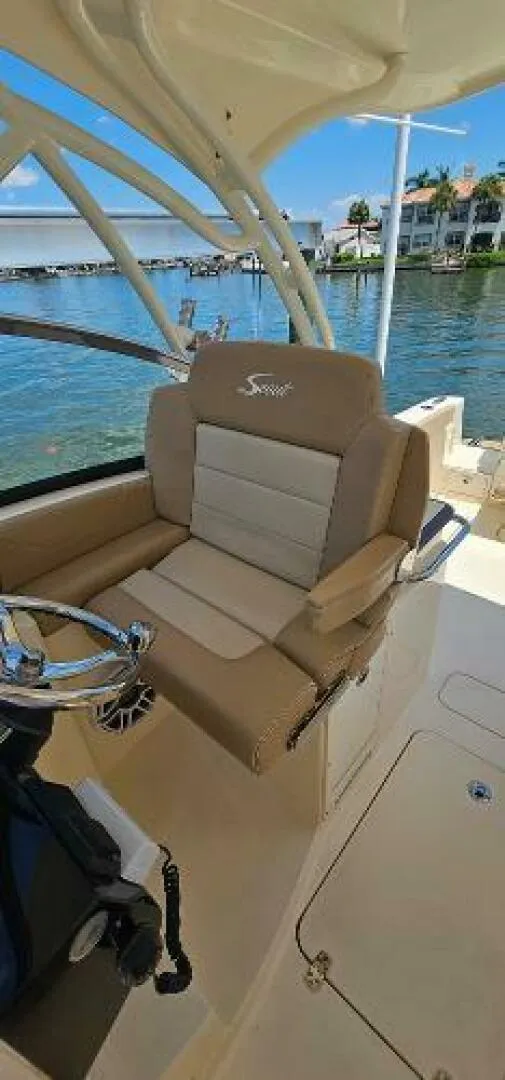 Slide: The Image of Scout 255 Dorado 2023 - 4594489
