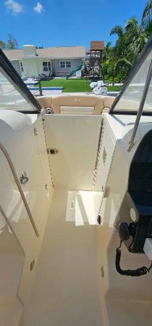 Slide: The Image of Scout 255 Dorado 2023 - 4594491