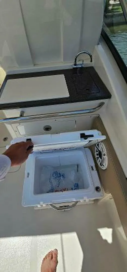 Slide: The Image of Scout 255 Dorado 2023 - 4594511