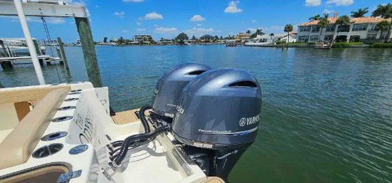 Slide: The Image of Scout 255 Dorado 2023 - 4594522
