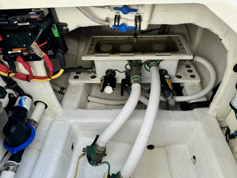 Slide: The Image of Invincible Catamaran 2020 - 4621709