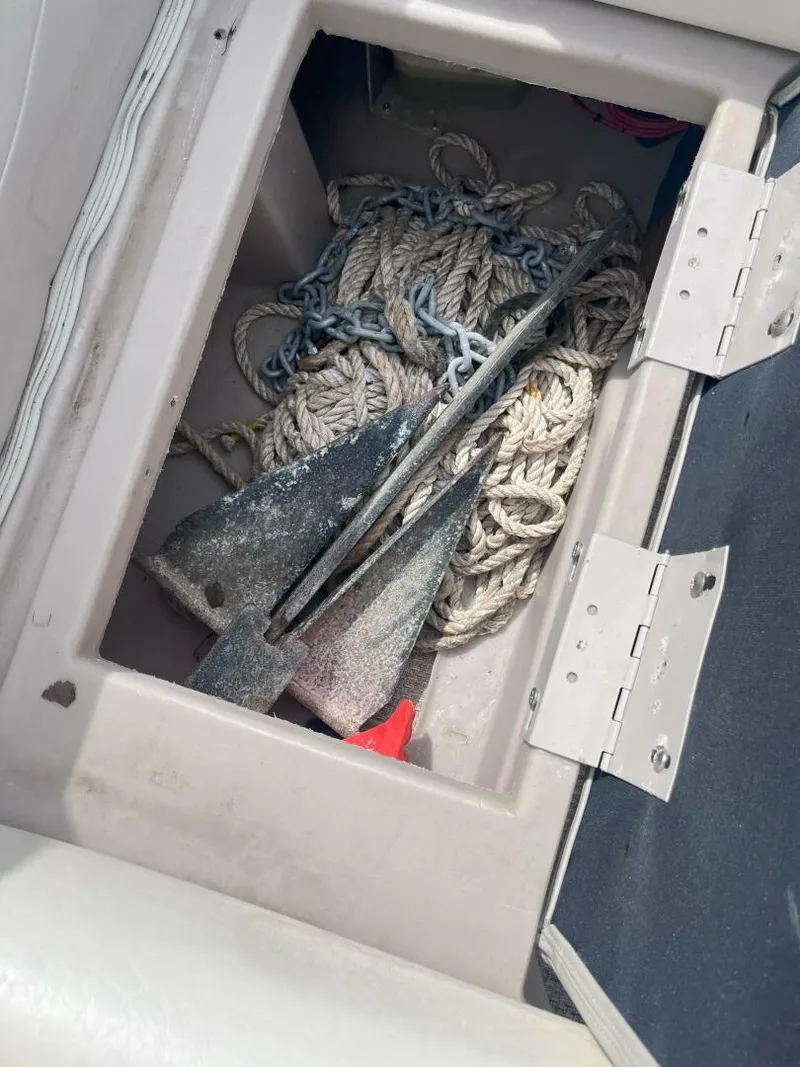 Slide: The Image of Bennington 22SSRX 2017 - 4628638