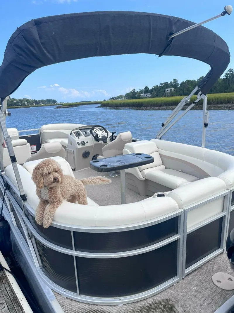 Slide: The Image of Bennington 22SSRX 2017 - 4628629