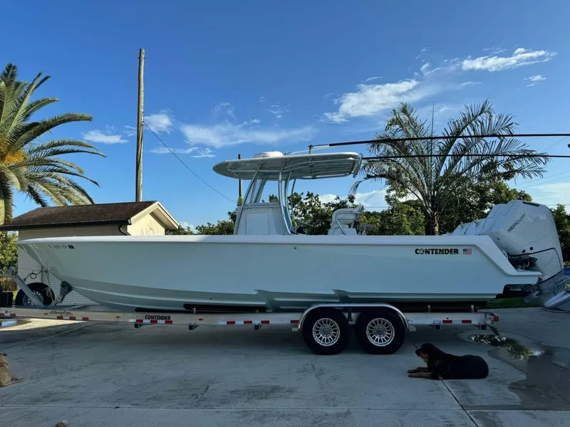 The Image of Contender 32 Step 2024 - 4635633