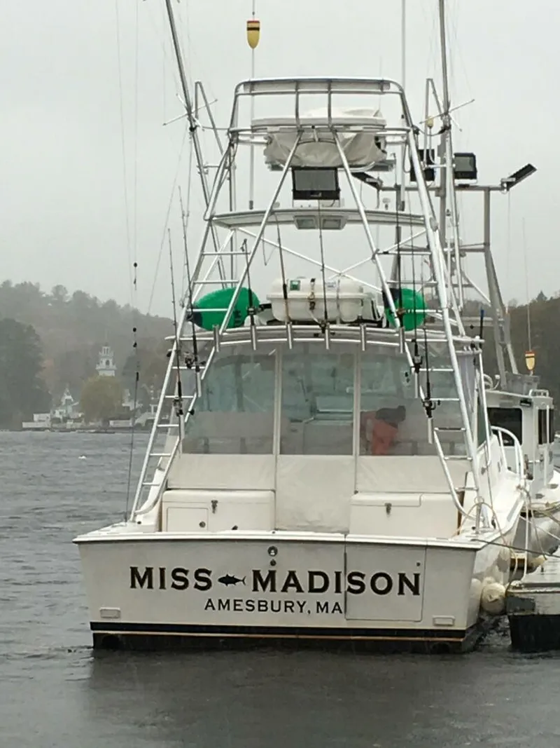 Slide: The Image of Cabo 35' @ Dock - 4637806