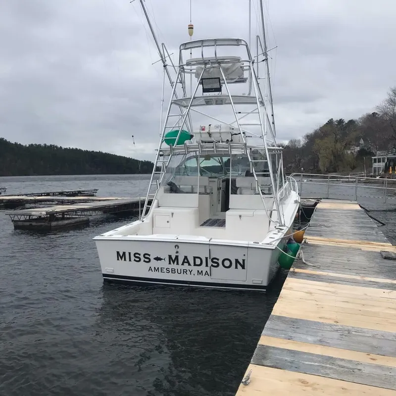 Slide: The Image of Cabo 35' Transom - 4637809