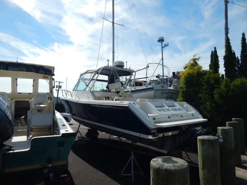 Slide: The Image of Pursuit 2860 Denali 2001 - 5490177