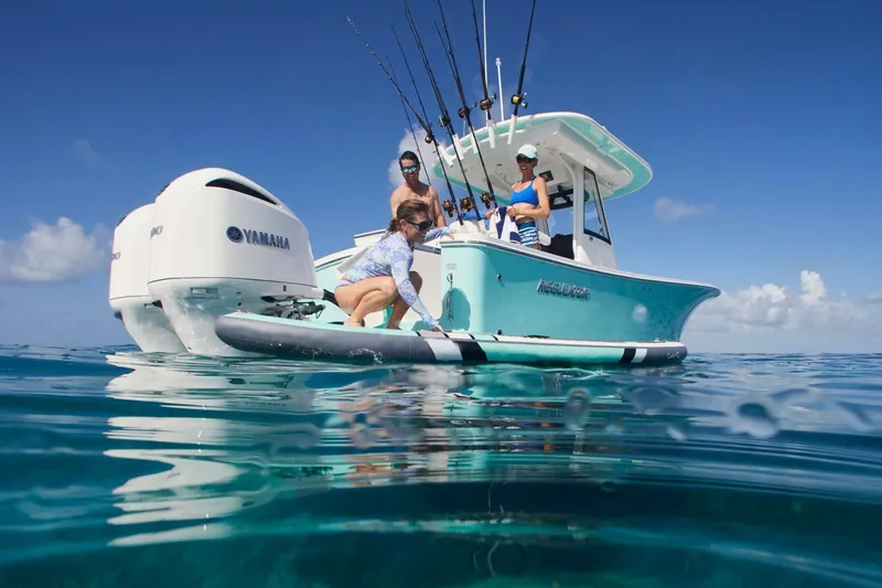 Slide: The Image of Regulator Marine 28cc 2026 - 4642642