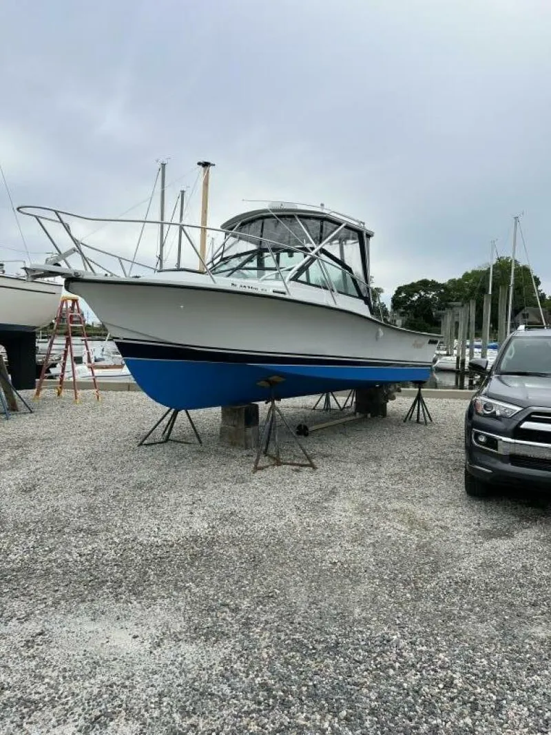 Slide: The Image of Rampage 24 1989 - 4642785