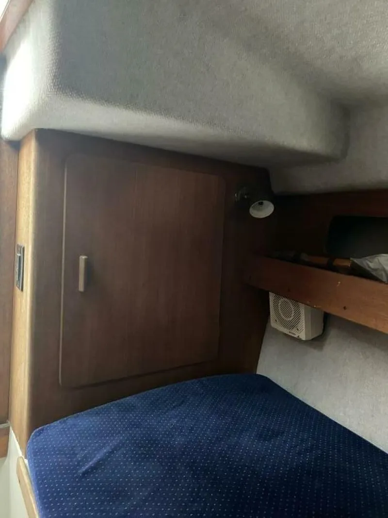 Slide: The Image of Rampage 24 1989 - 4642814