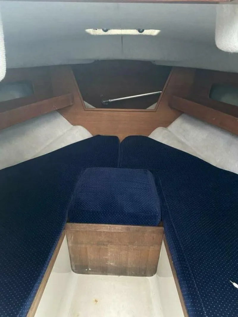 Slide: The Image of Rampage 24 1989 - 4642815